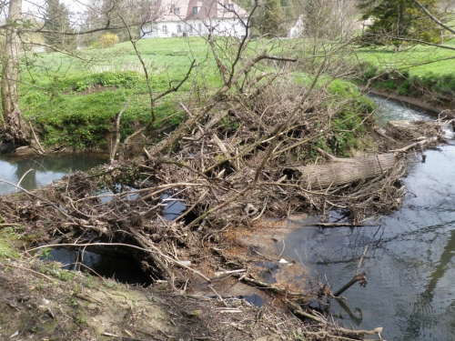 L’entretien des cours d’eau