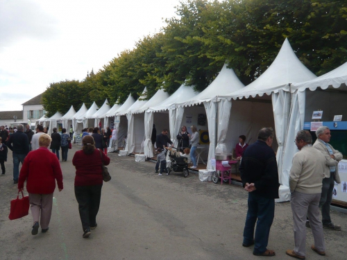 Stands associations